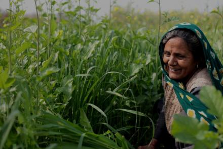 Canvaloop Agri-Waste & Hemp Fibre Platform by Canvaloop Fibre Pvt. Ltd.